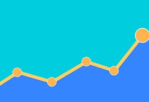 seo portfolio